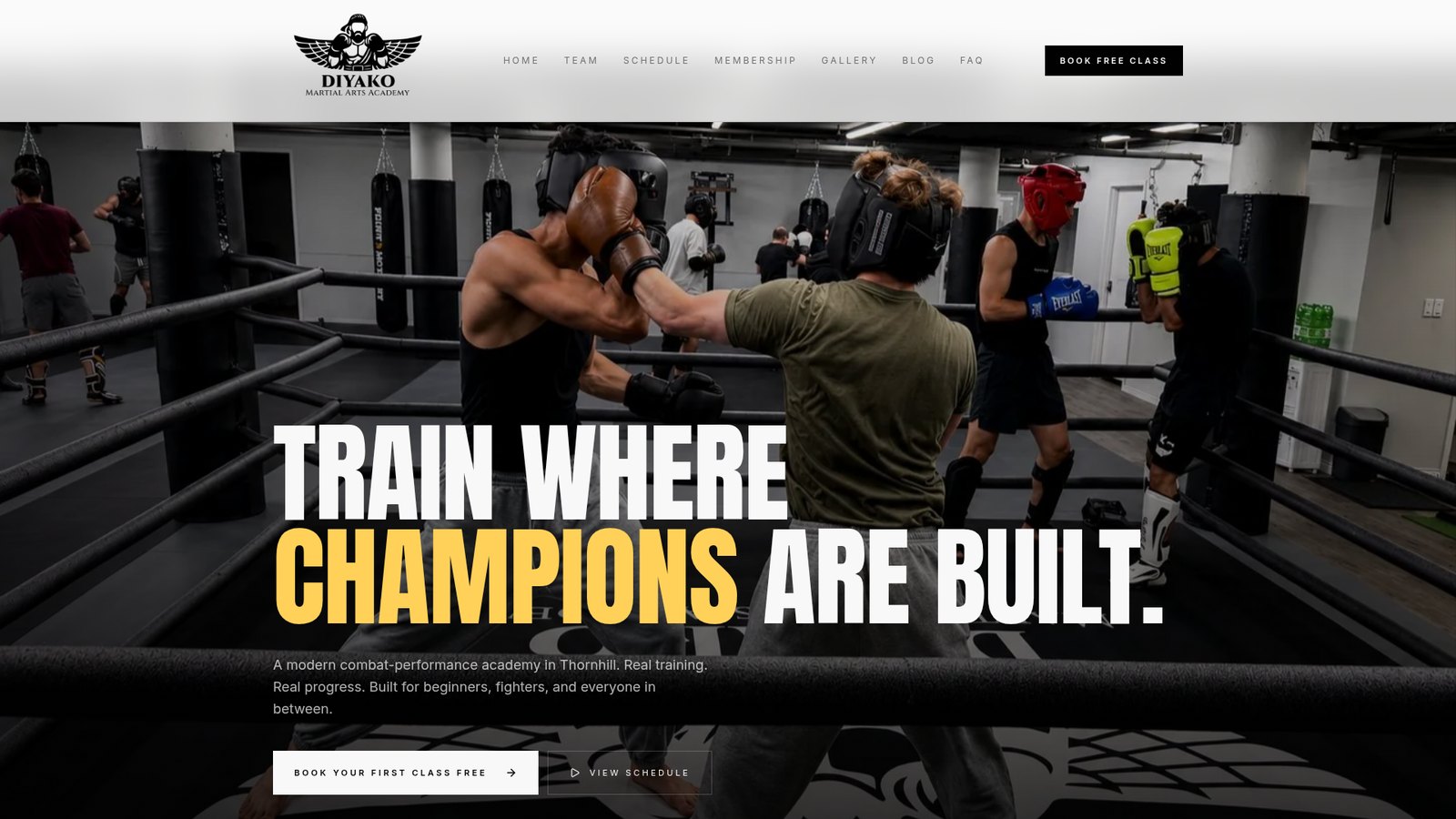 Diyako Martial Arts Academy website homepage