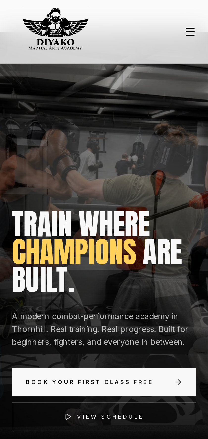Diyako Martial Arts Academy website on mobile